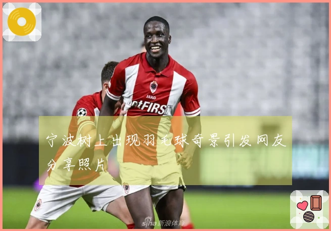 宁波树上出现羽毛球奇景引发网友分享照片