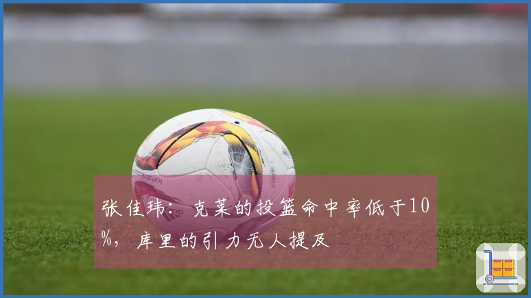 张佳玮：克莱的投篮命中率低于10%，库里的引力无人提及