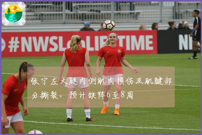 张宁左大腿内侧肌肉损伤及肌腱部分撕裂，预计缺阵6至8周