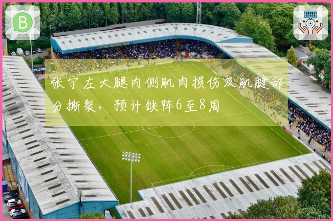 张宁左大腿内侧肌肉损伤及肌腱部分撕裂，预计缺阵6至8周